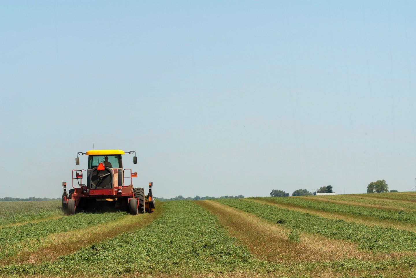 A red and yellow tractor cuts crops in a green field.